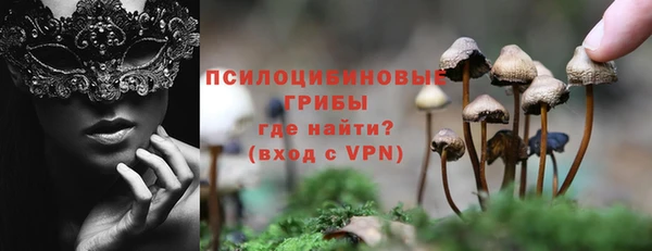 меф Арсеньев