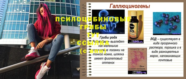 меф Арсеньев